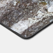 Rustige Natuur Eak Boom Bark Foto Bureaumat (Hoek)