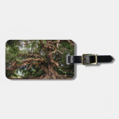 Rustige Olijfboom Bagagelabel (Voorkant horizontaal)