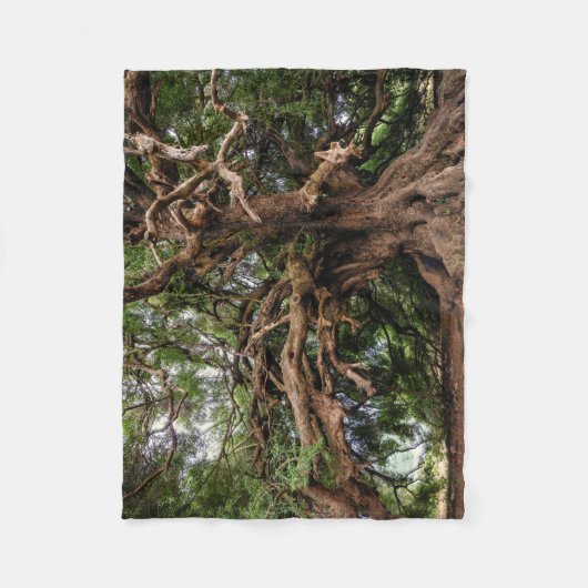 Rustige Olijfboom Fleece Deken (Voorkant)
