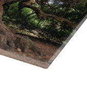 Rustige Olijfboom Snijplank (Hoek)