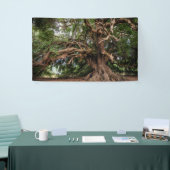Rustige Olijfboom Spandoek (Beurs)