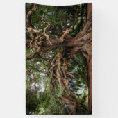 Rustige Olijfboom Spandoek (Verticaal)