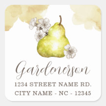 Rustige paardsticker