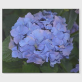 Rustige Paarse Hydrangea macrophylla Cadeaupapier (Vlak)