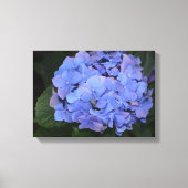 Rustige Paarse Hydrangea macrophylla Canvas Afdruk (Voorkant)