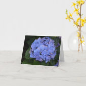 Rustige Paarse Hydrangea macrophylla Kaart (Gele Bloem)