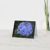 Rustige Paarse Hydrangea macrophylla Kaart (Voorkant)