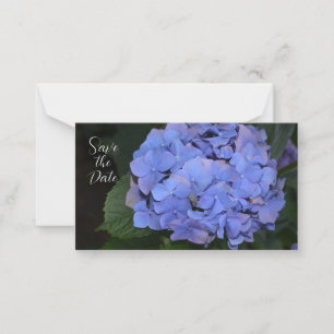 Rustige Paarse Hydrangea macrophylla Notitiekaartje