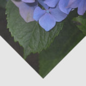 Rustige Paarse Hydrangea macrophylla Tissuepapier (Detail)