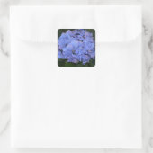 Rustige Paarse Hydrangea macrophylla Vierkante Sticker (Tas)