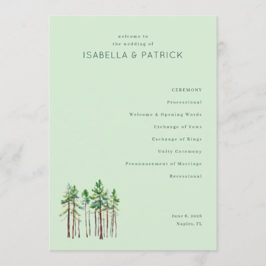 Rustige Pastelgroene Dennenbomen Programma (Voorkant)