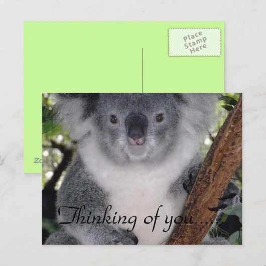 RUSTIGE PLEK BRIEFKAART (Voorkant / Achterkant)