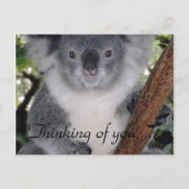 RUSTIGE PLEK BRIEFKAART (Voorkant)