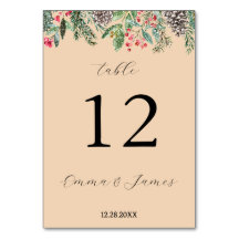 Rustige rode hulst en dennenappel