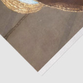 Rustige  rotskook in de oceaan ontkoppeling tissuepapier (Detail)