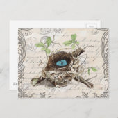 rustige tsjechië : botanisch vogelnest briefkaart (Voorkant / Achterkant)