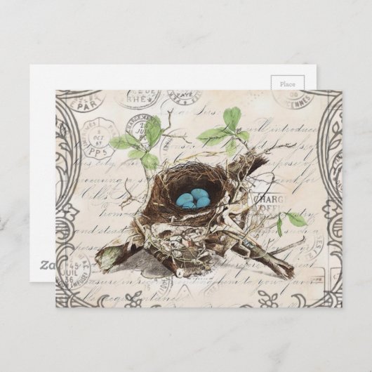 rustige tsjechië : botanisch vogelnest briefkaart (Voorkant / Achterkant)