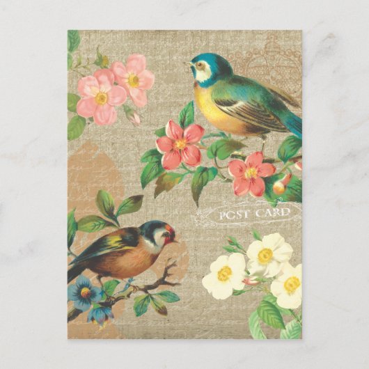 Rustige  vogels en bloemen Shabby Elegance Briefkaart (Voorkant)