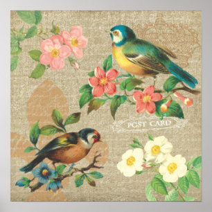Rustige vogels en bloemen Shabby Elegance Poster