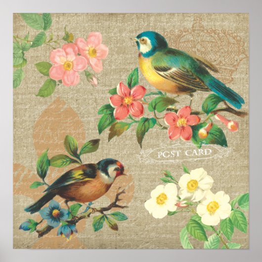 Rustige  vogels en bloemen Shabby Elegance Poster (Voorkant)