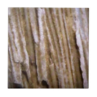 Rustige Westerne Petrified Wood Designer Tile Tegeltje