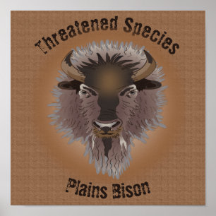 Rustige Westerne vlakten Bison Poster