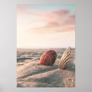 Rustige Zand Strand Zee Schelp Oceaan Fotografie P Poster