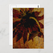 Rustige zonnebloem briefkaart (Voorkant / Achterkant)