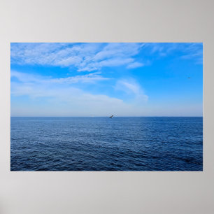 Rustige Zwarte Zee Roemenië – Zeevogels Blauwe Luc Poster