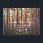 Rustique Enregistrer la carte postale Arbre de la<br><div class="desc">Mariage Sauvegarder la date Rustic Forest Tree carte postale</div>