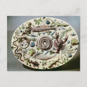 Rustique Figuline-schaal met een witte achtergrond Briefkaart