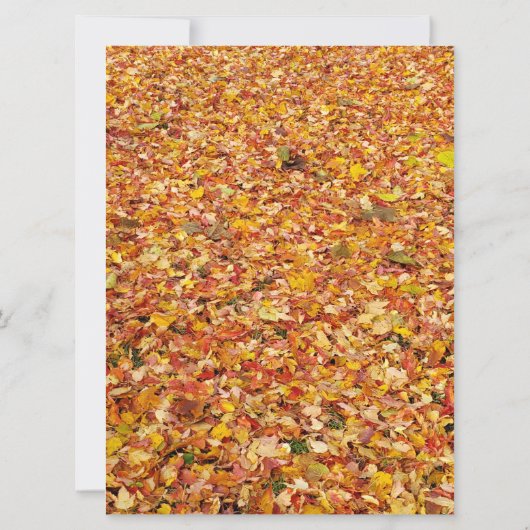 Rustique Jaune Invitations de mariage d'automne (Dos)