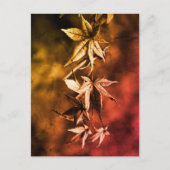 Rustisch Japans Maple Foliage-portret Briefkaart (Voorkant)
