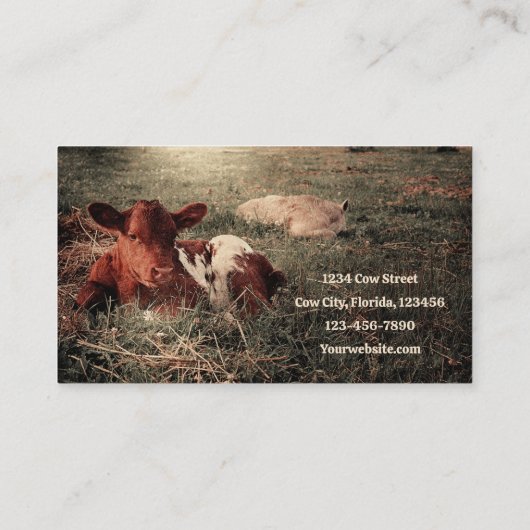 Rustisch land Koe rundvlees en zuivelBoerderij Visitekaartje (Achterkant)