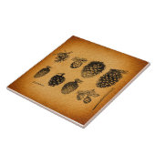 Rustisch Pinecones Pine Cone Artwork Antiek design Tegeltje (Zijkant)