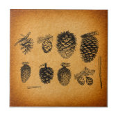 Rustisch Pinecones Pine Cone Artwork Antiek design Tegeltje (Voorkant)