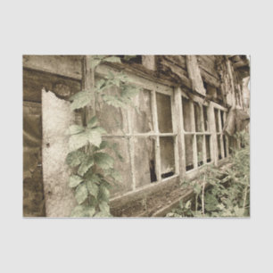  Rustische Oude Rood Band Vensters Tissuepapier