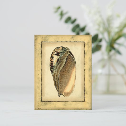 Rustische Seashell Briefkaart (Staand voorkant)