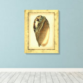 Rustische  Seashell Canvas Afdruk (Insitu (Houten vloer))