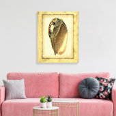 Rustische  Seashell Canvas Afdruk (Insitu (Woonkamer))