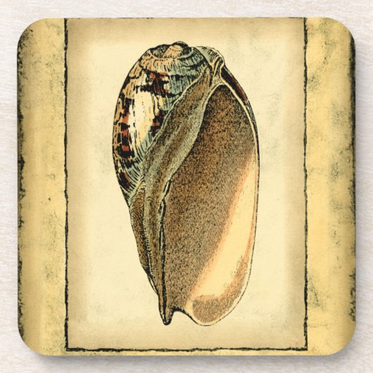 Rustische Seashell Drankjes Onderzetter (Voorkant)