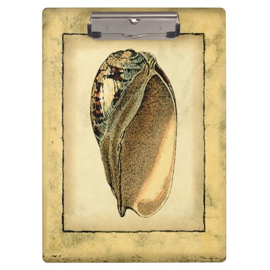 Rustische  Seashell Klembord (Voorkant)