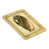 Rustische Seashell Magneet (Rechterzijde)