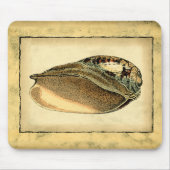 Rustische Seashell Muismat (Voorkant)