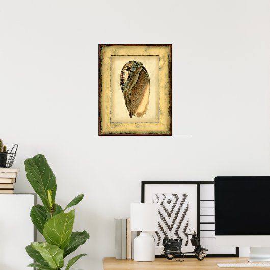 Rustische  Seashell Poster (Thuiskantoor)