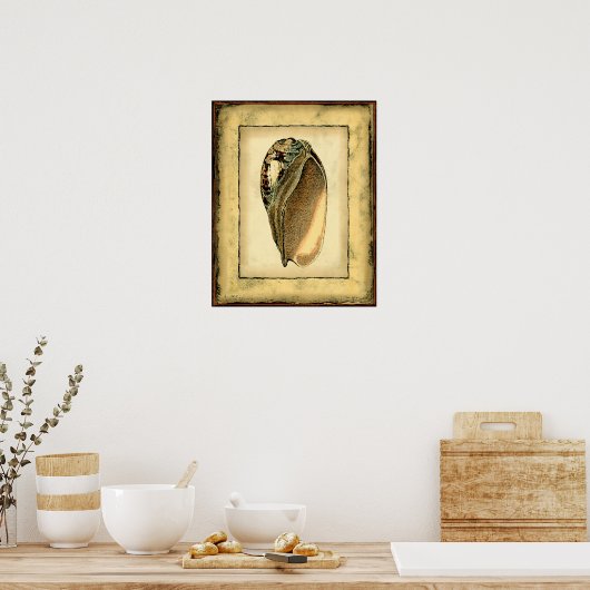 Rustische  Seashell Poster (Keuken)