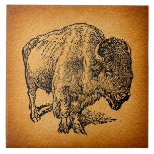 Rustische Westerne Wilde Buffalo Bison Antiek Kuns Tegeltje