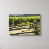 Rustische wijngaarden en Rozen omheining Canvas Afdruk (Voorkant)