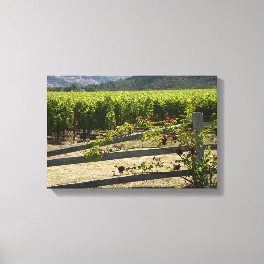 Rustische wijngaarden en Rozen omheining Canvas Afdruk (Voorkant)