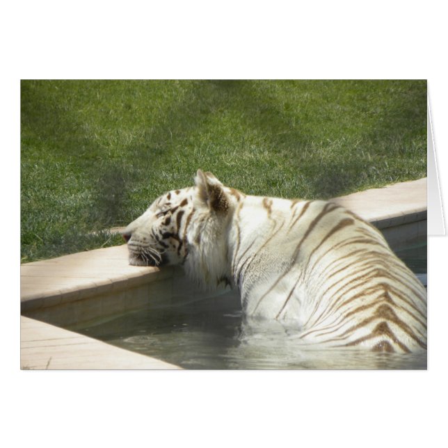 Rusttijgerkaart (Voorkant Horizontaal)